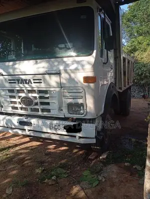 Tata 1613 2006