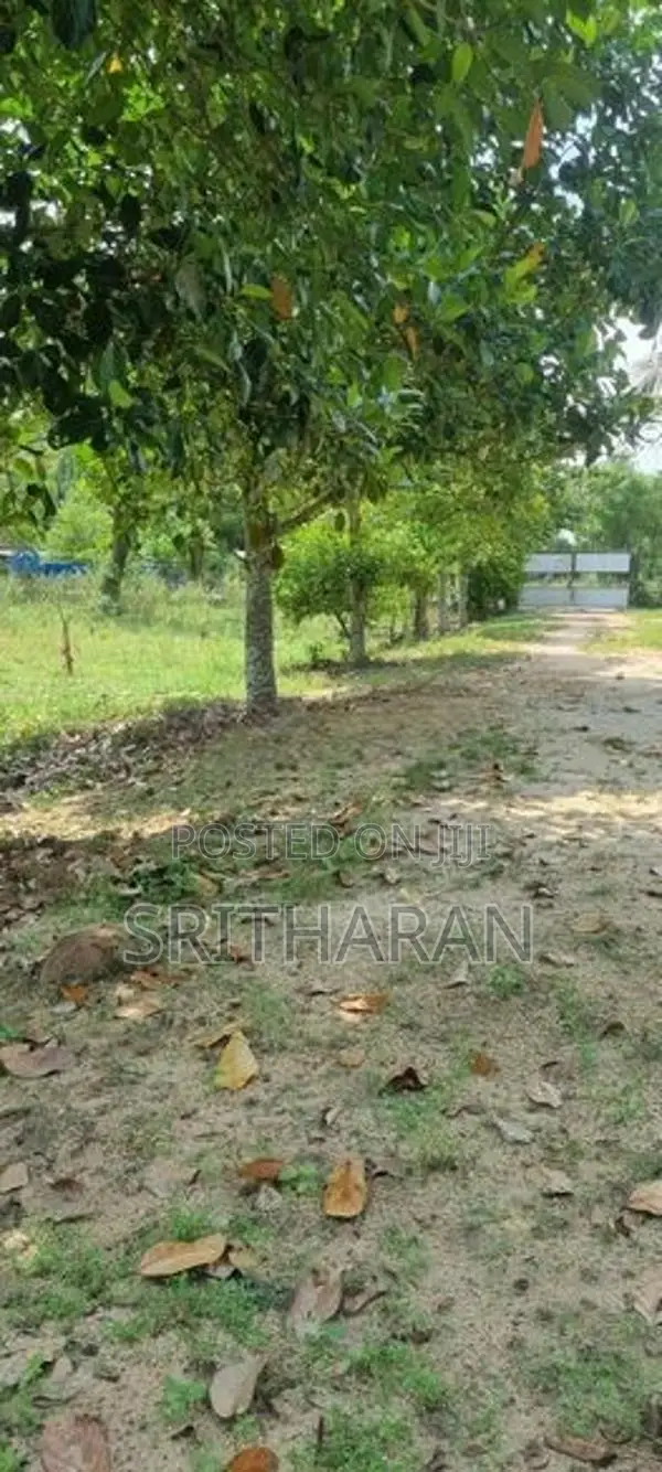 Land for Sale Batticaloa