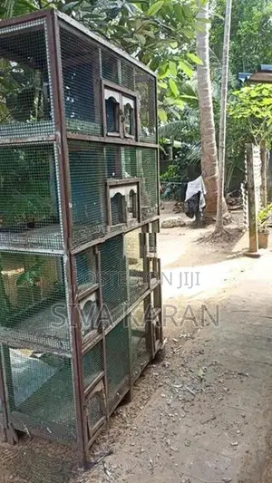 Pigeon cage