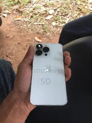 Apple iPhone 13 Pro (Used)