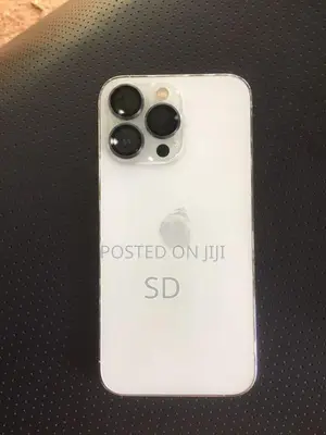 Apple iPhone 13 Pro (Used)
