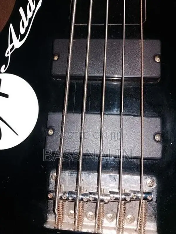 Bass Guitar