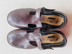 A Brown Color Pair of School Shoes
