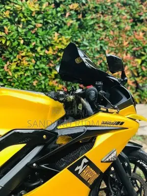 Yamaha YZF R15 2019