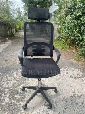 Head Rest Office Chair 219A