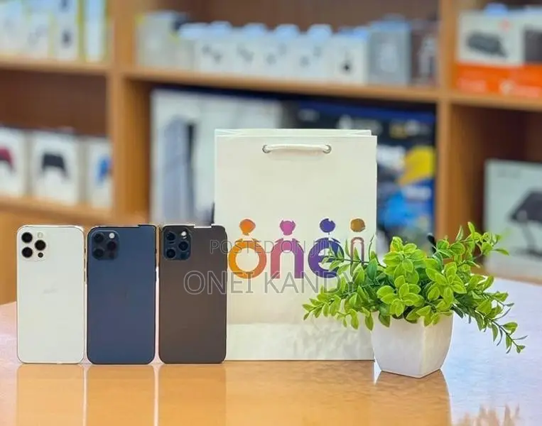 Apple iPhone 12 Pro 256GB (Used)
