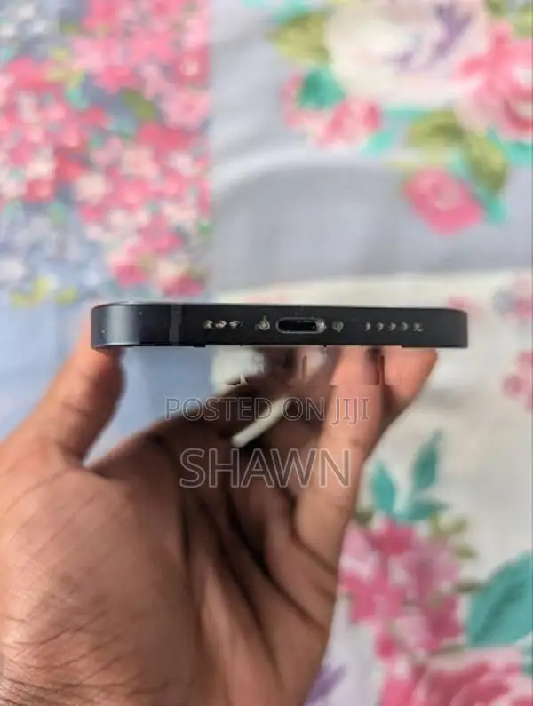 Apple iPhone 12 (Used)