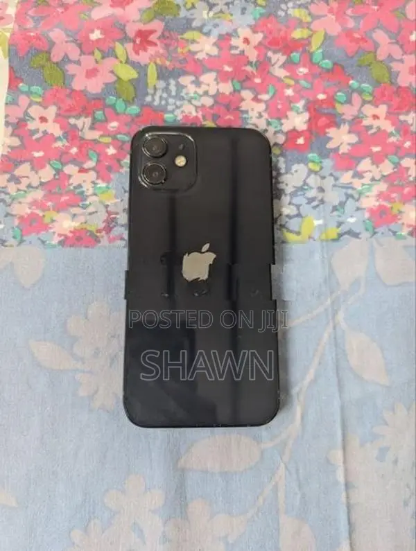 Apple iPhone 12 (Used)