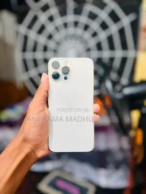 Apple iPhone 13 Pro Max (Used)