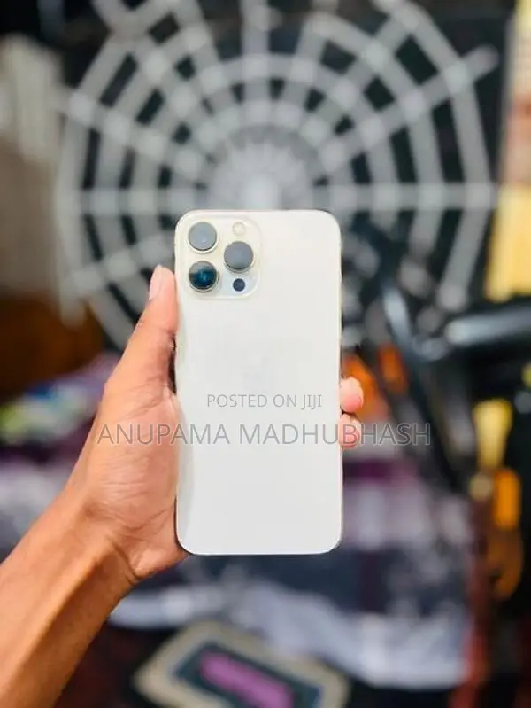 Apple iPhone 13 Pro Max (Used)
