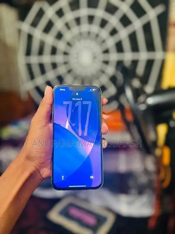 Apple iPhone 13 Pro Max (Used)