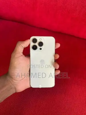 Apple iPhone 13 Pro (Used)