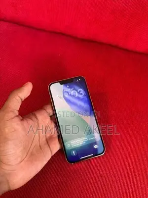 Apple iPhone 13 Pro (Used)