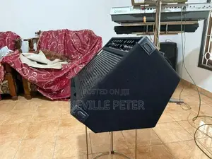Bass Guitar Back Amplifier