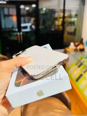 Apple iPhone 16 Pro Max 256GB (Used)