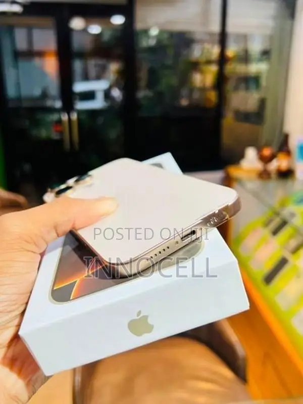Apple iPhone 16 Pro Max 256GB (Used)