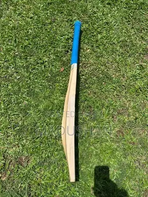 English Willow Leather Bat
