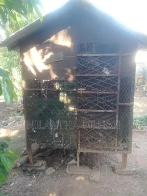 පරවි කුඩුව