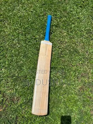 English Willow Leather Bat