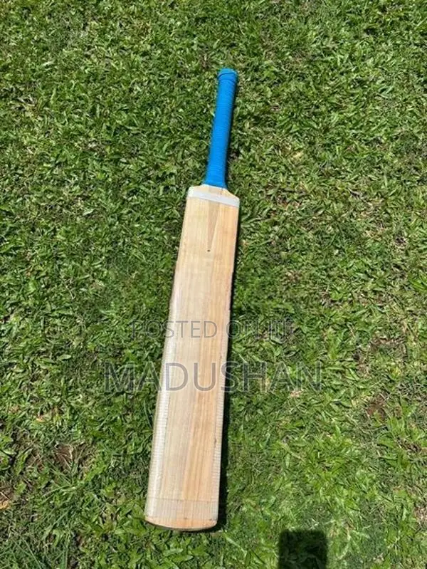 English Willow Leather Bat