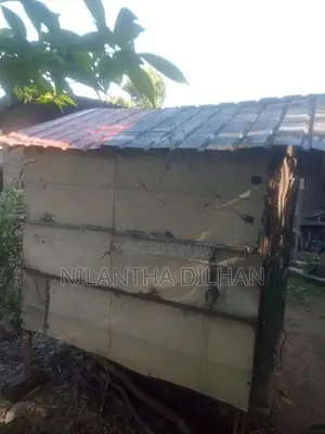 පරවි කුඩුව