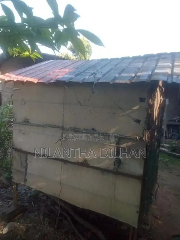 පරවි කුඩුව