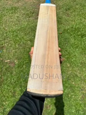 English Willow Leather Bat