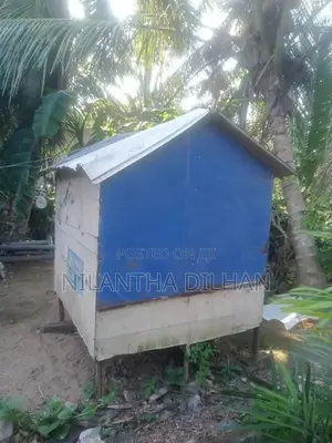 පරවි කුඩුව
