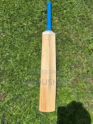 English Willow Leather Bat