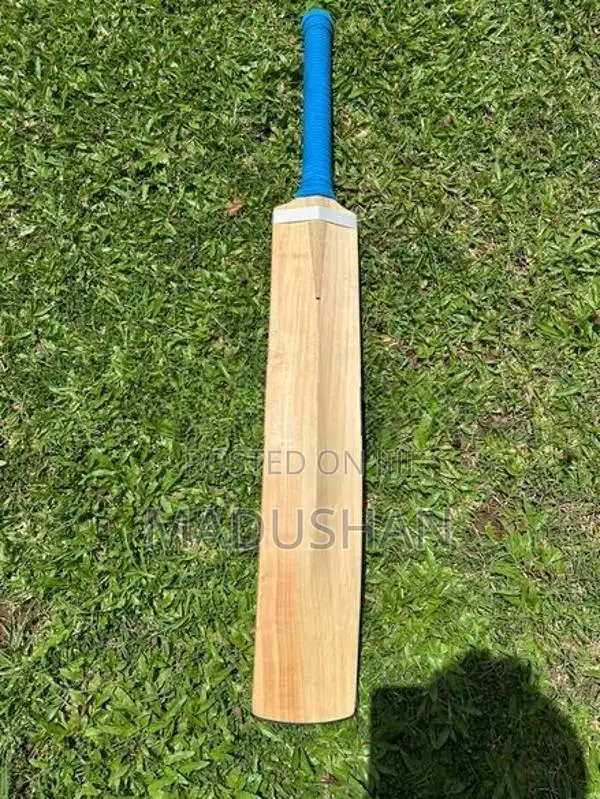 English Willow Leather Bat