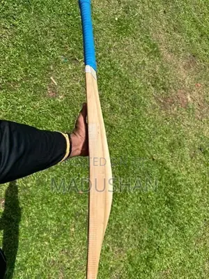 English Willow Leather Bat