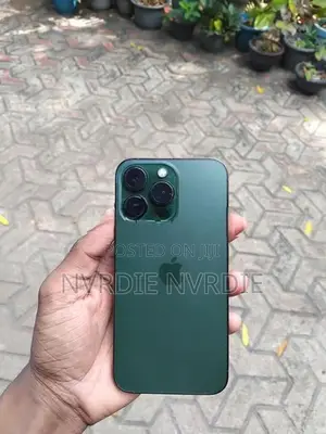 Apple iPhone 13 Pro (Used)