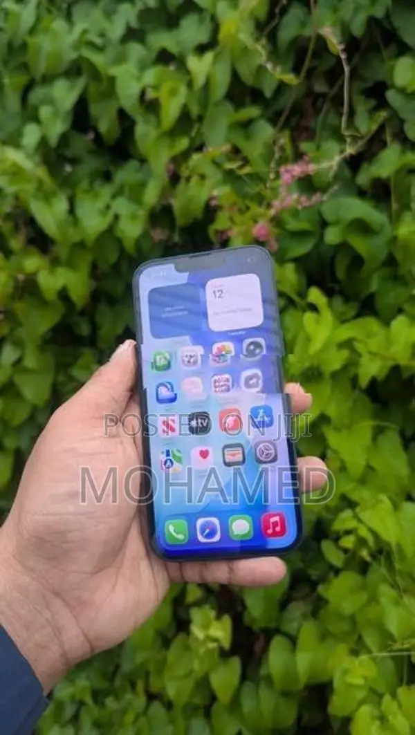 Apple iPhone 13 256GB (Used)
