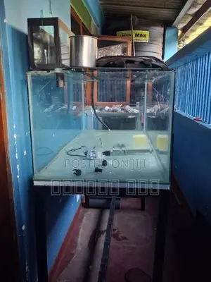 Fish Tank with Accessories