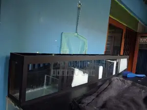 Fish Tank with Accessories