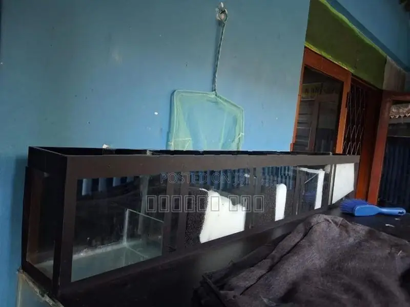 Fish Tank with Accessories