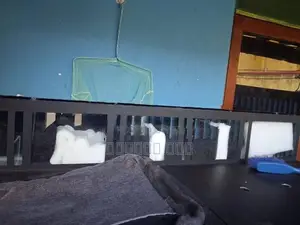 Fish Tank with Accessories