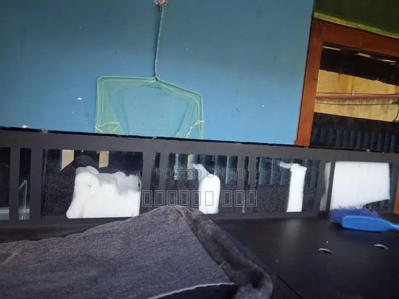Fish Tank with Accessories
