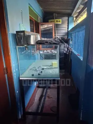 Fish Tank with Accessories