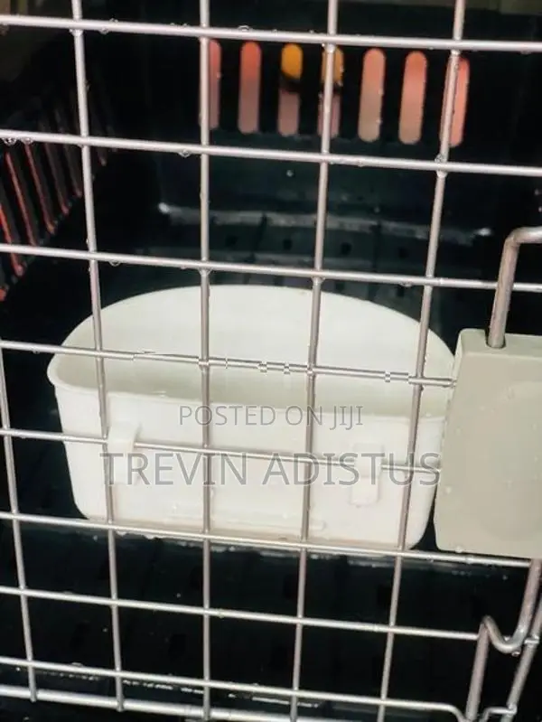 Pet Cage