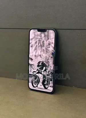 Apple iPhone 13 Pro Max 256 (Used)