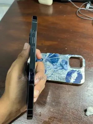 Apple iPhone 12 Pro Max (Used)