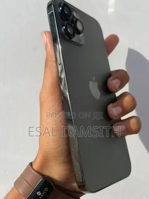 Apple iPhone 12 Pro Max (Used)
