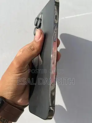 Apple iPhone 12 Pro Max (Used)