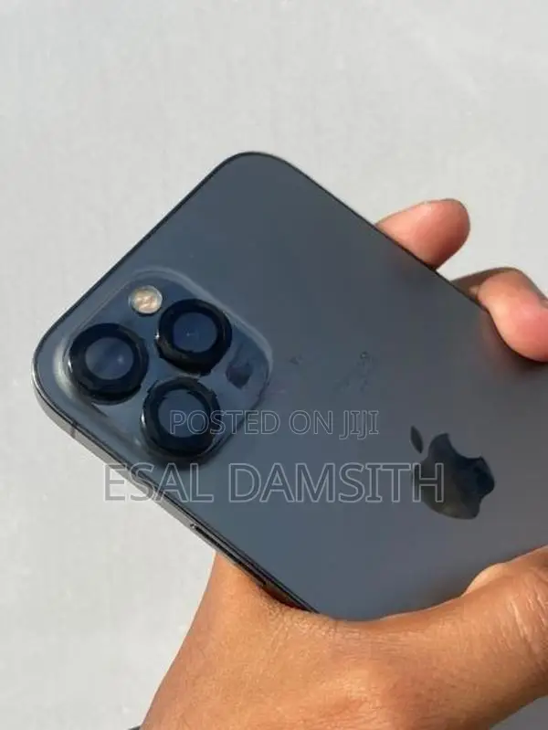 Apple iPhone 12 Pro Max (Used)