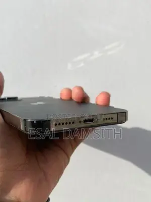 Apple iPhone 12 Pro Max (Used)