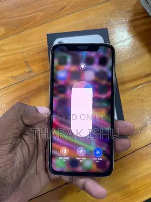 Apple iPhone 11 Pro 256GB (Used)