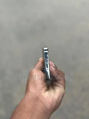 Apple iPhone 13 Pro (Used)
