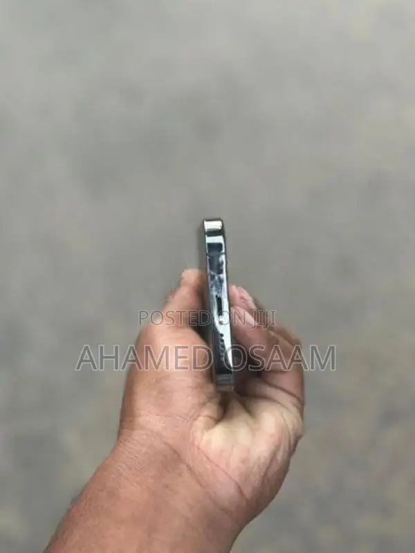Apple iPhone 13 Pro (Used)