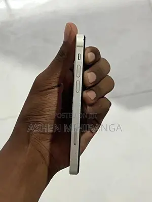 Apple iPhone 12 mini (Used)